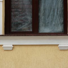 IMG_0049