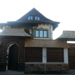 IMG_3248 (2)