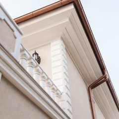 IMG_8617